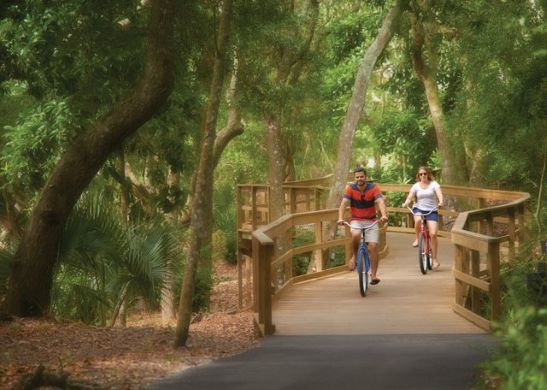 Ride the Breeze: Explore Amelia Island by Bicycle 